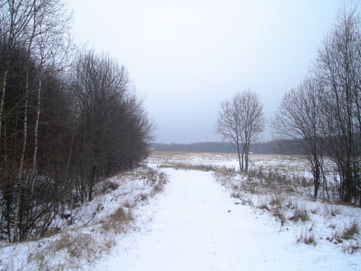 23648 (a): :1024x768